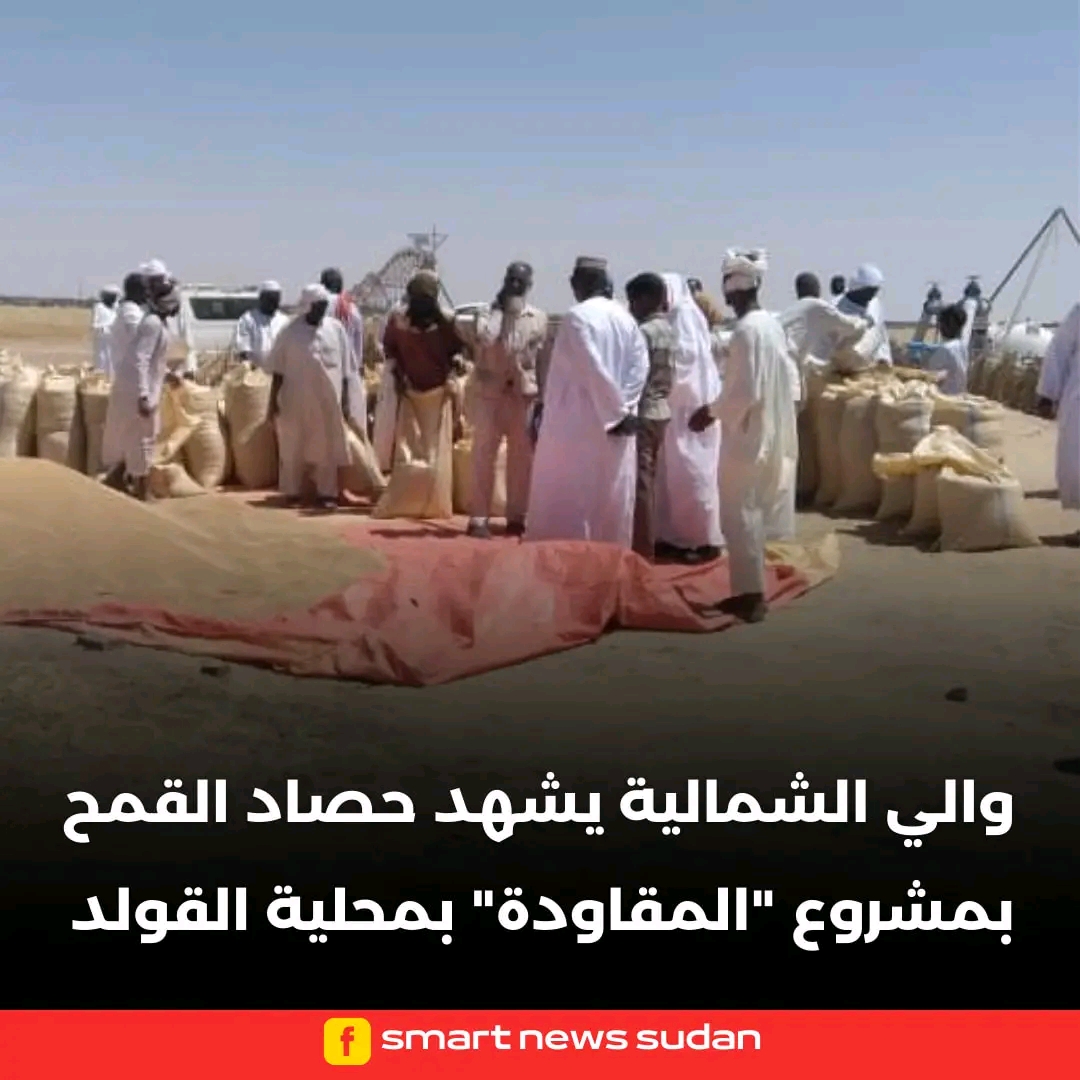 السودان – الولايه الشماليه – الفضاء نيوز  *والي الشمالية يشهد حصاد القمح بمشروع المقاودة بمحلية القولد