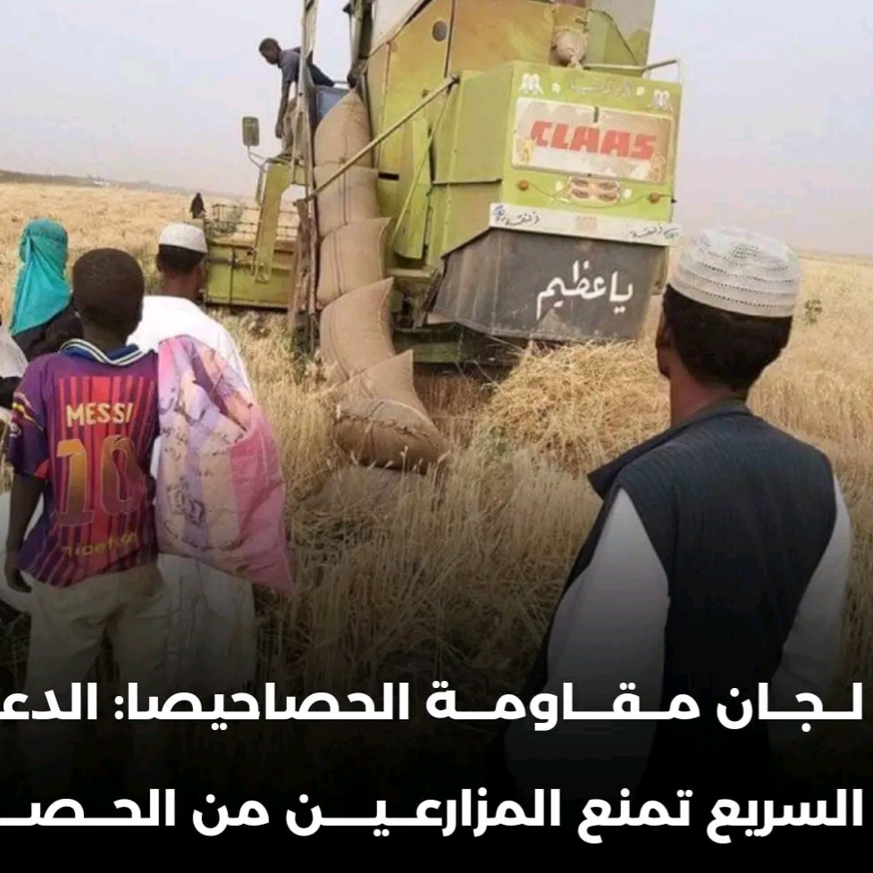 السودان – ولاية الجزيرة – محلية الحصاحيصا* *لجان مقاومة الحصاحيصا: الدعم السريع تمنع المزارعين من الحصاد