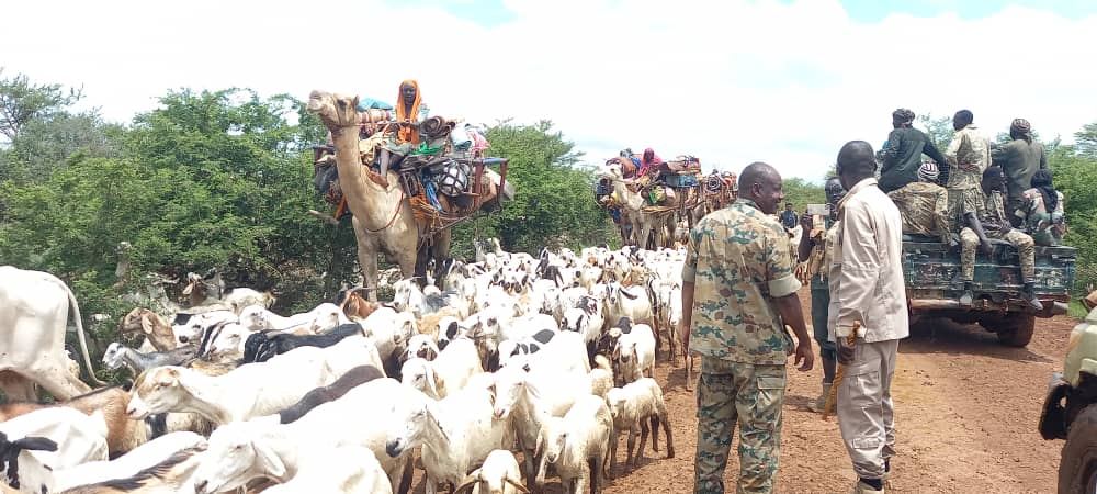 سلطات قدير بجنوب كردفان ؛ مرور مرحال الحوازمة للمخارف يمهد لمصالحات أهلية وإنهاء الصراعات والنزاعات القبلية بالمنطقة .
