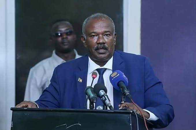 وزير الزراعة: منظمات تتآمر على السودان بفرية وجود مجاعة