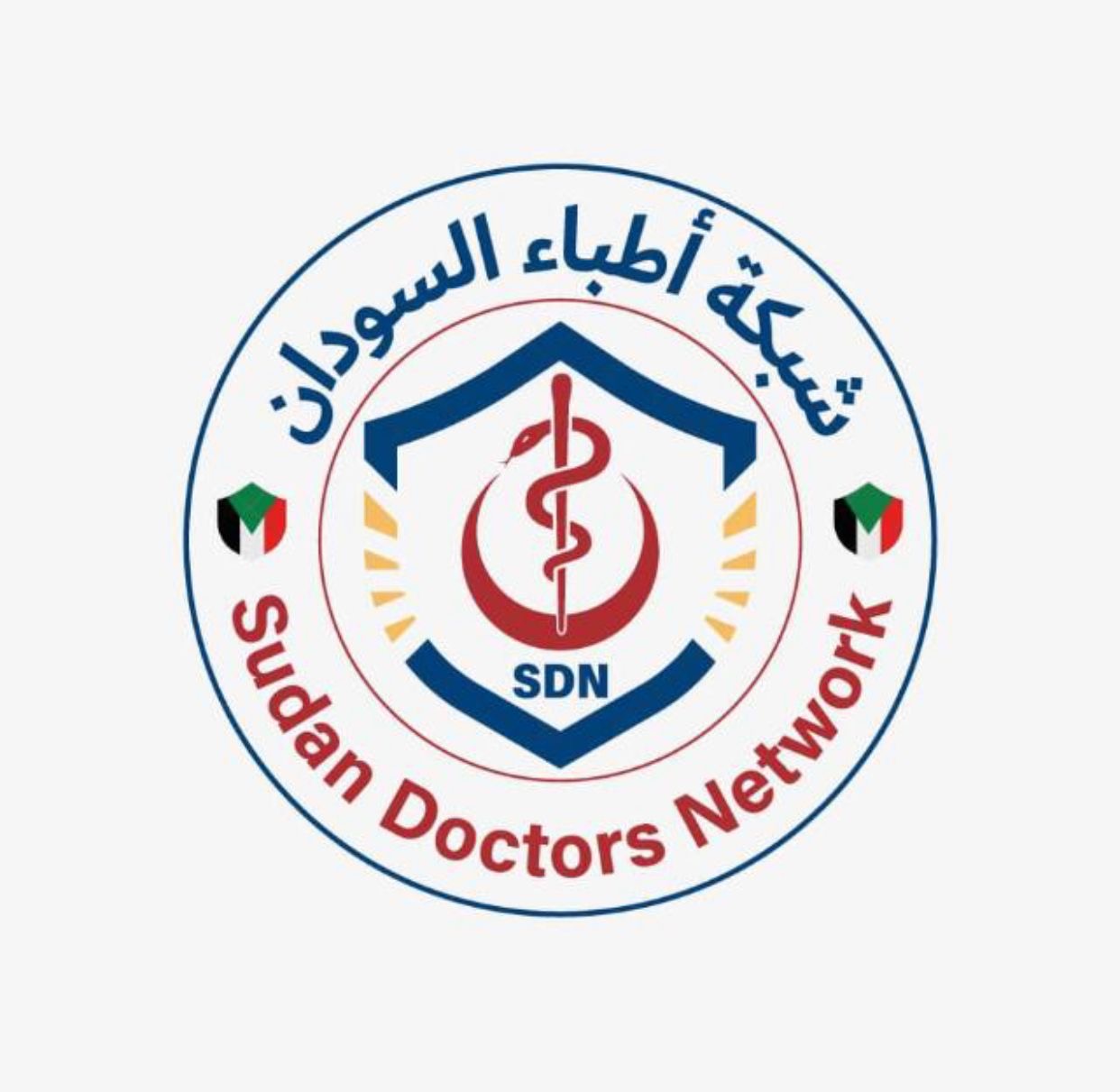 مقتل طبيب على يد الدعم السريع بمدينة سنجة